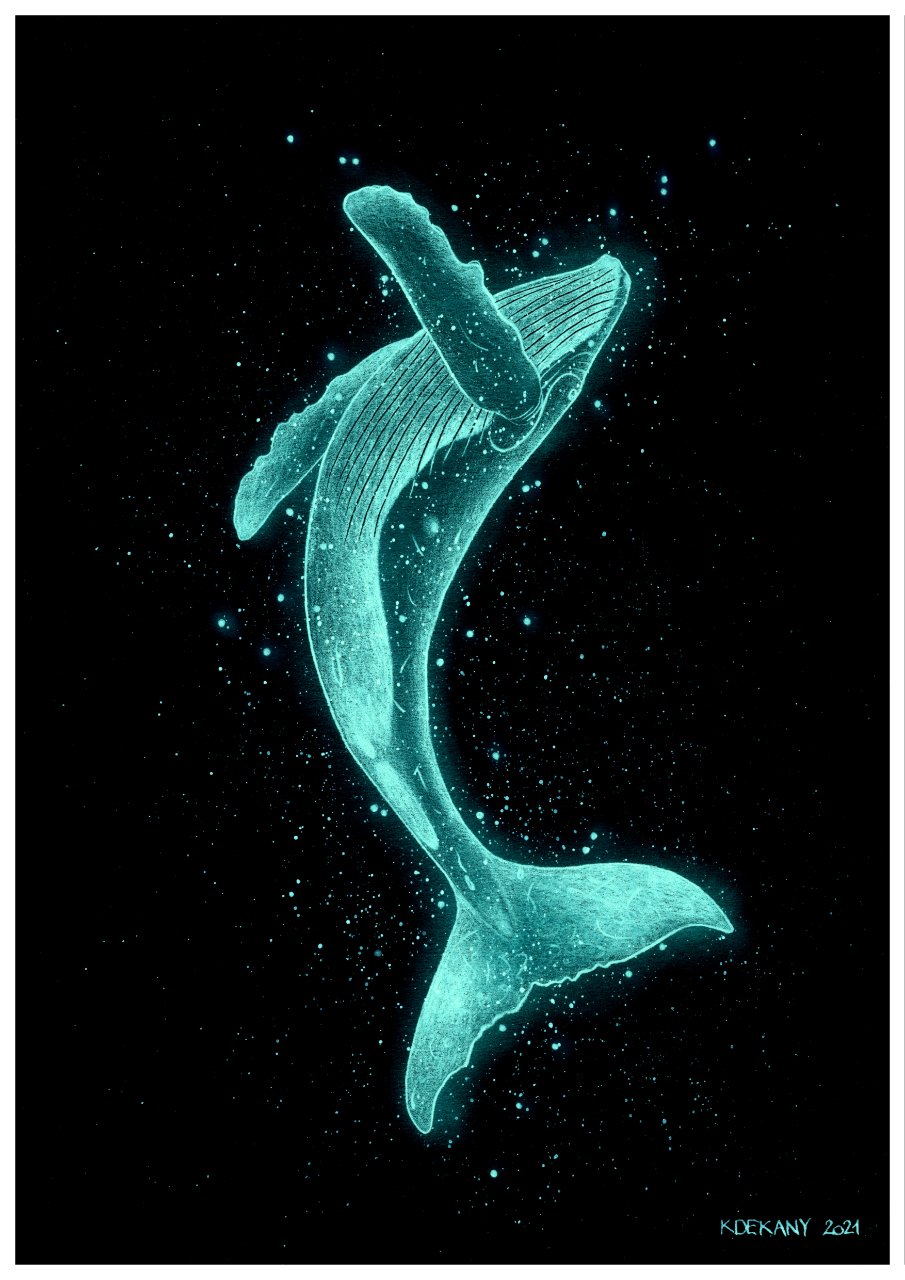 Humpback Whale Giant Spirit of the Ocean Fine Art Print